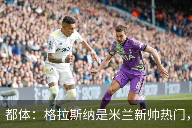 都体：格拉斯纳是米兰新帅热门，他很可能成为签下马特塔的关键